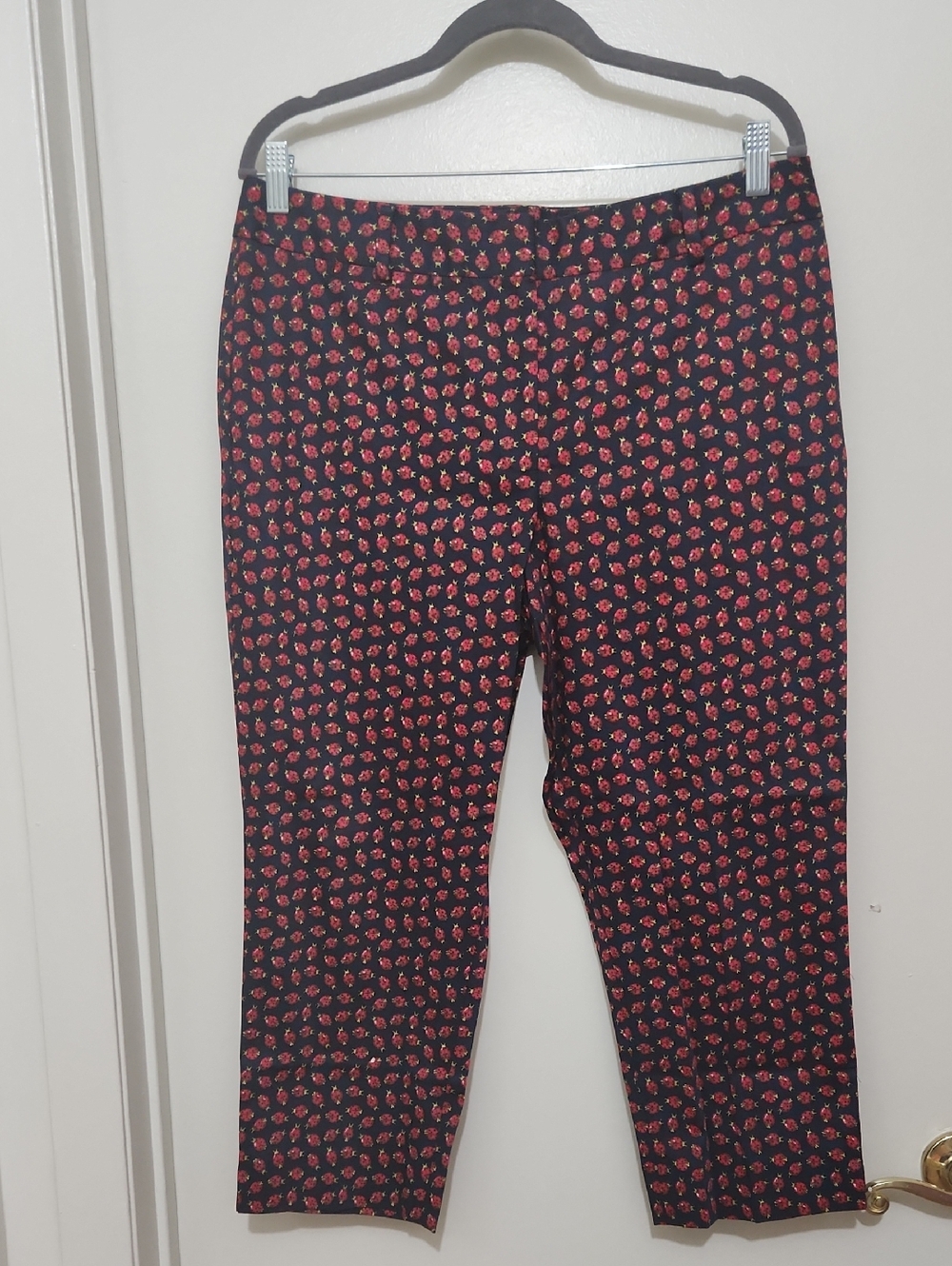 Talbots Heritage COTTON Ladybug print Capris 12P
